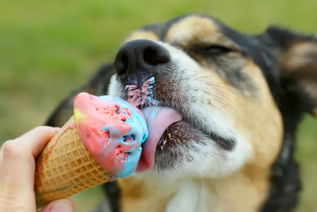 Xylitol Poisoning in Dogs - Pet Care Partners Xylitol Poisoning in Dogs