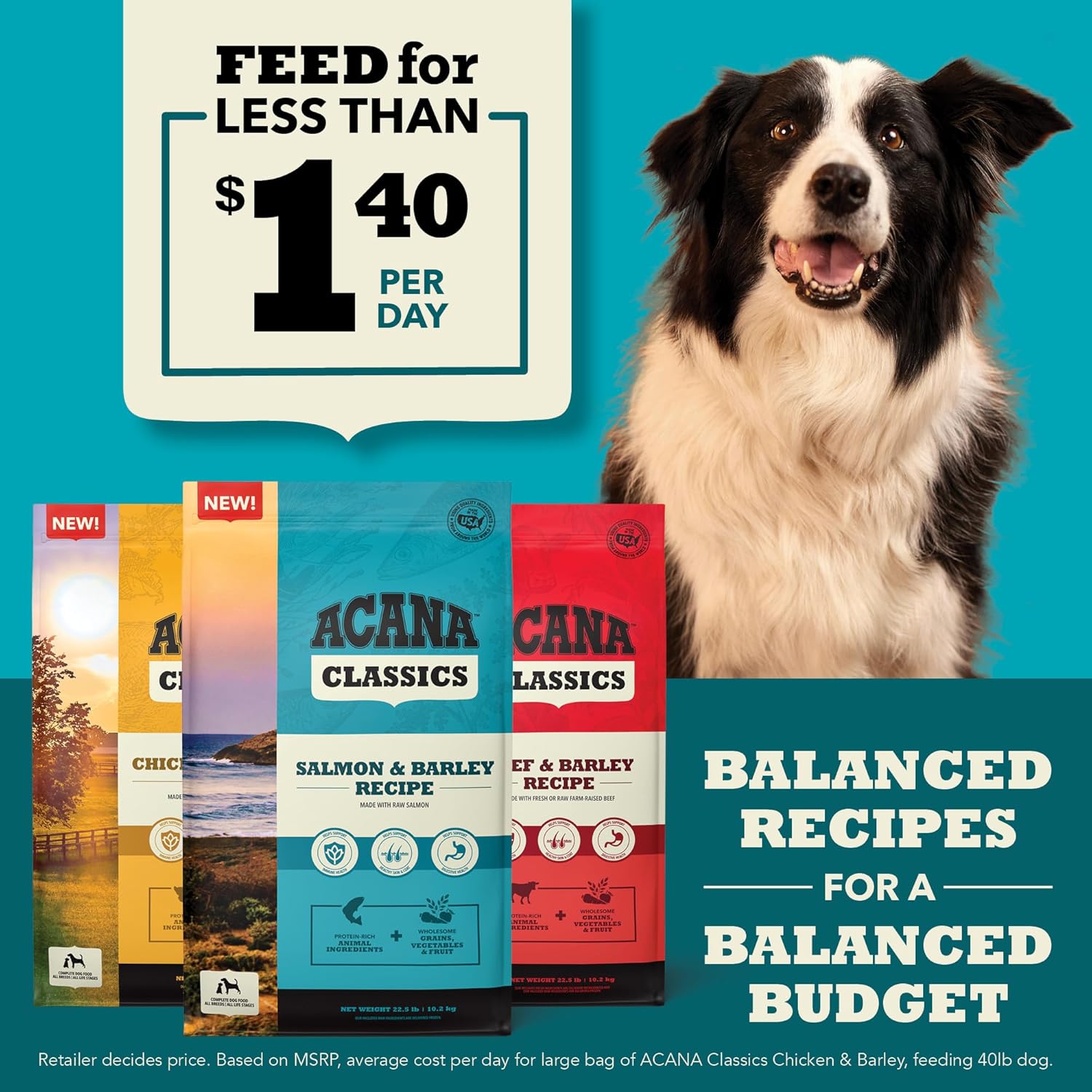 7 Best Dog Foods in 2025, Recommended by Vets
