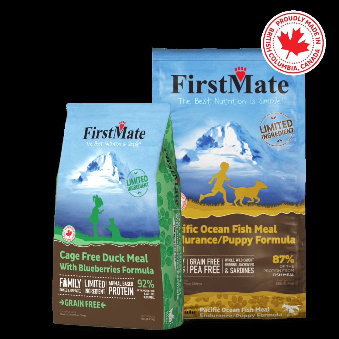 7 Best Dog Foods in 2025, Recommended by Vets