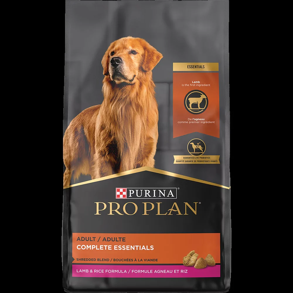 7 Best Dog Foods in 2025, Recommended by Vets