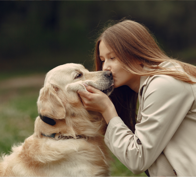 All Creature Veterinary Center