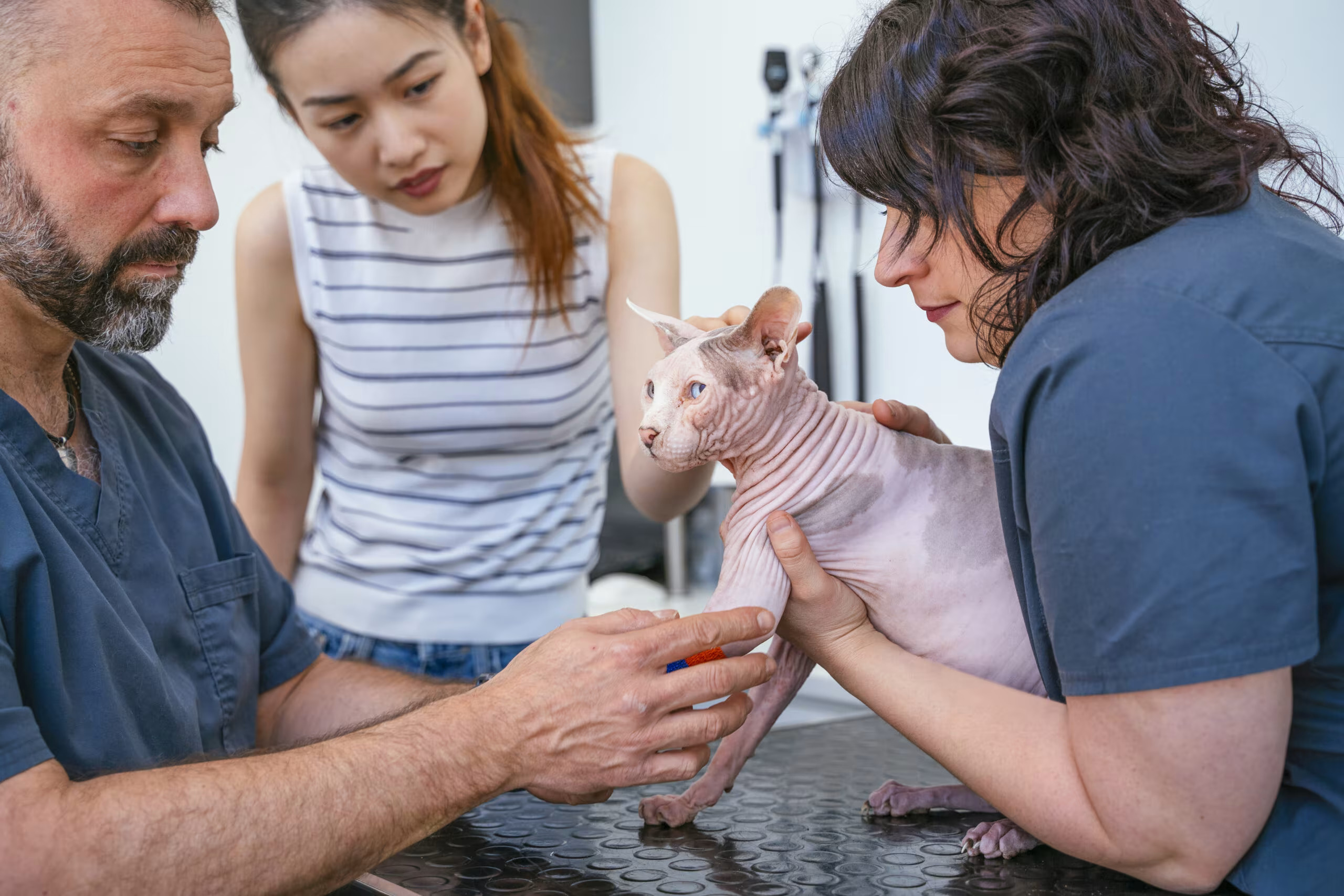 Rehabilitation & Therapeutic Care Rehabilitation & Therapeutic Care