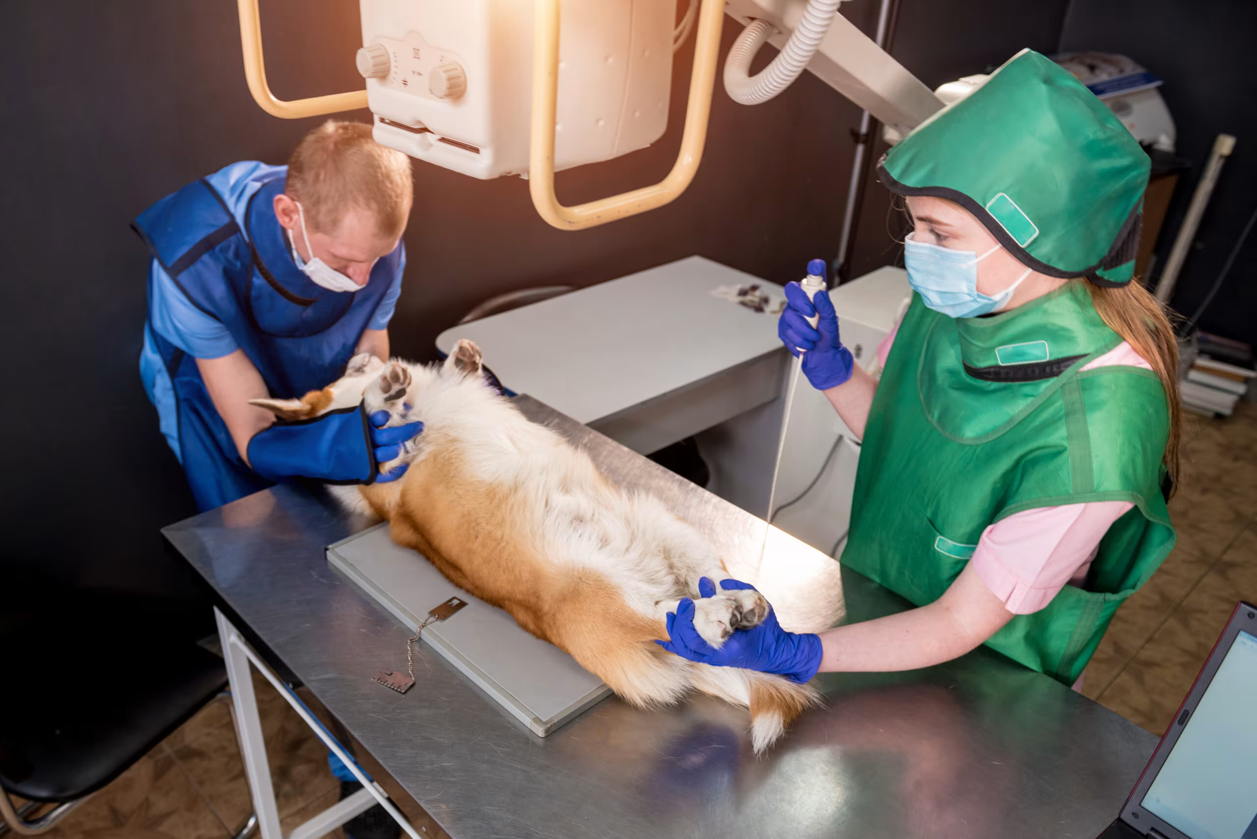 Neurology & Spinal Surgery