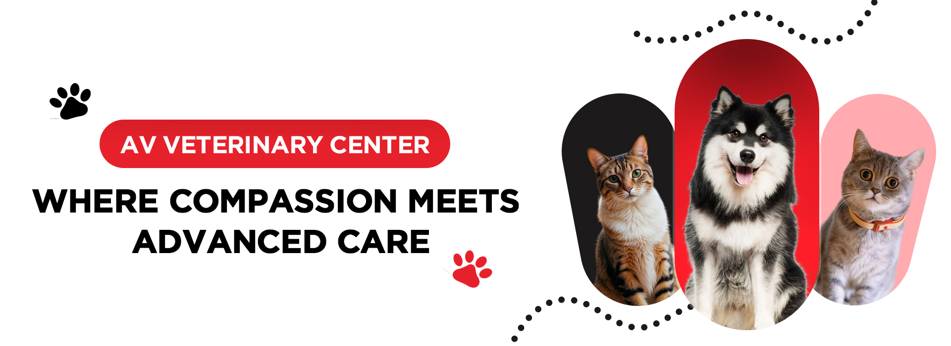 AV Veterinary Center